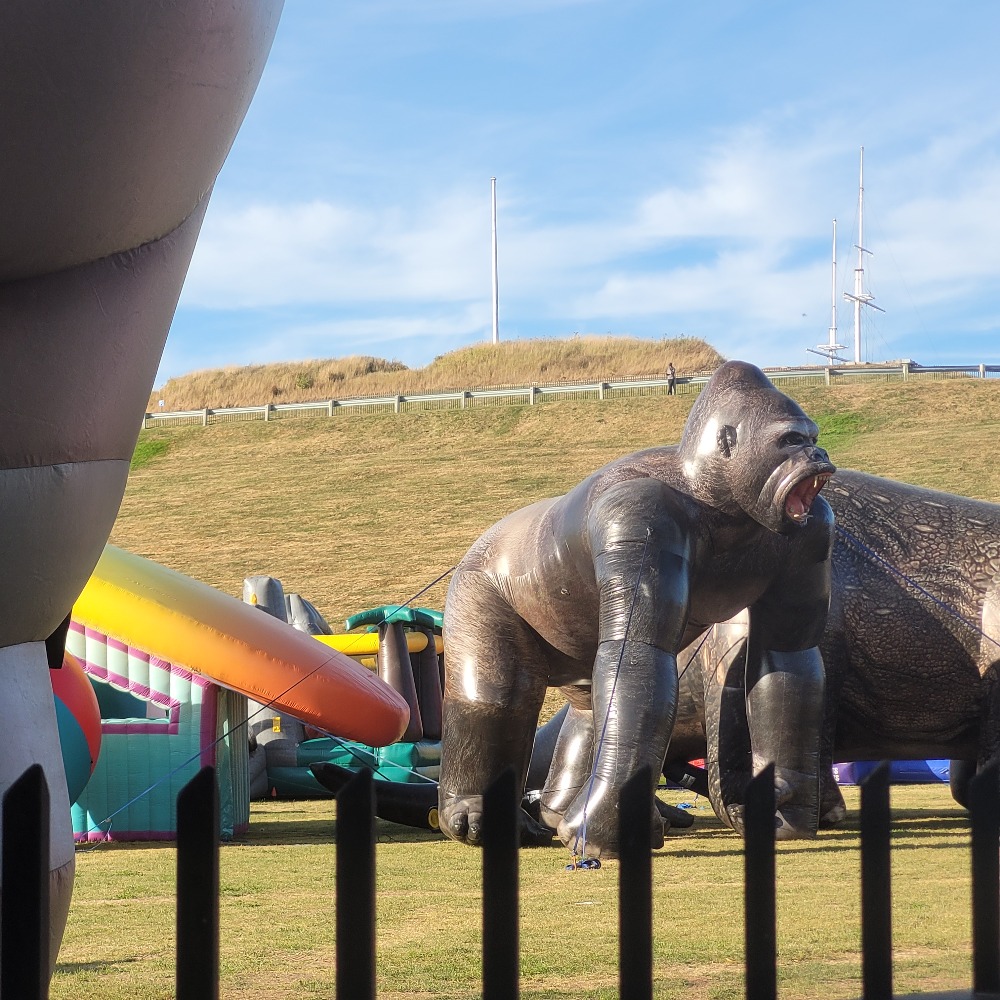 inflatable gorilla on citadel hill